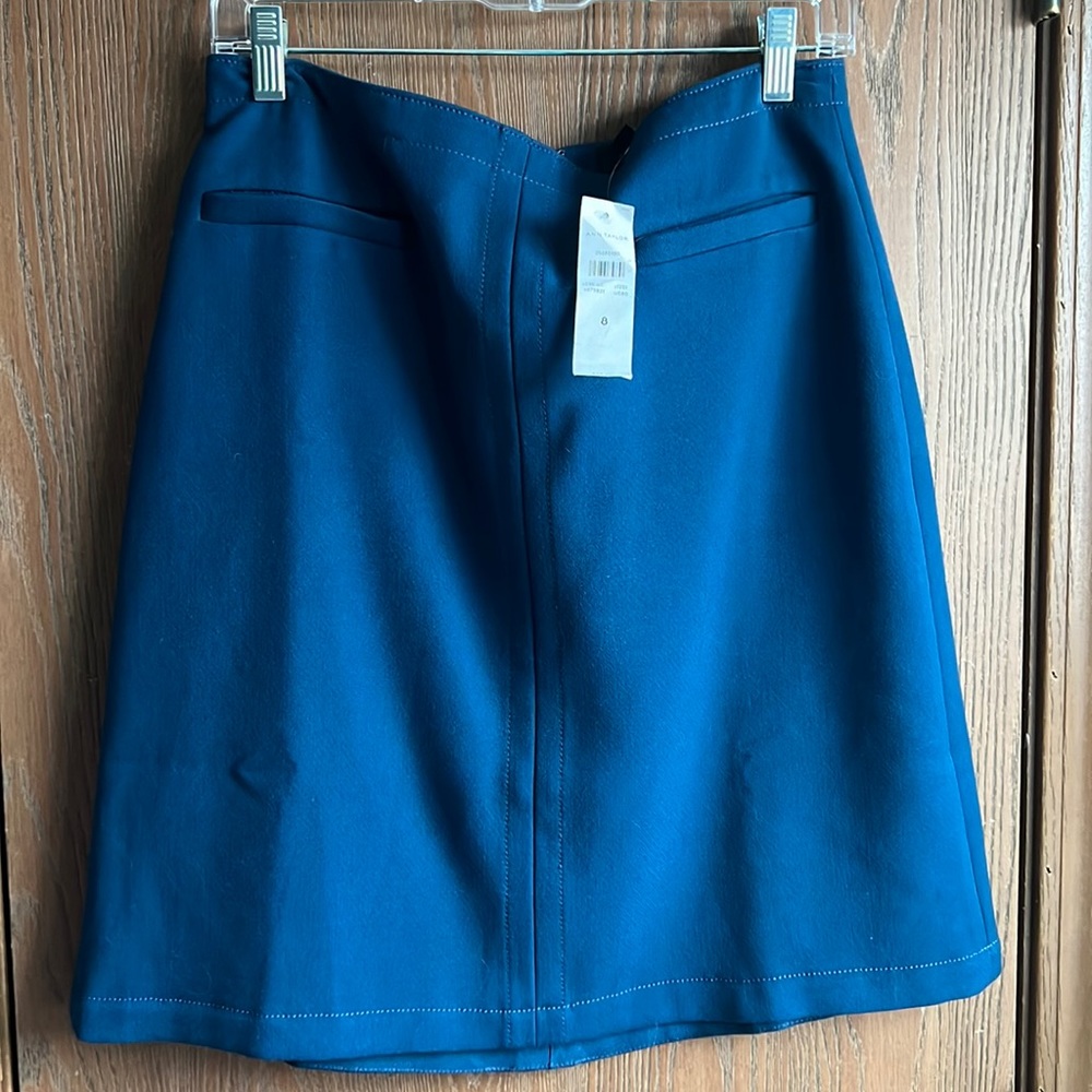 Ann Taylor skirt